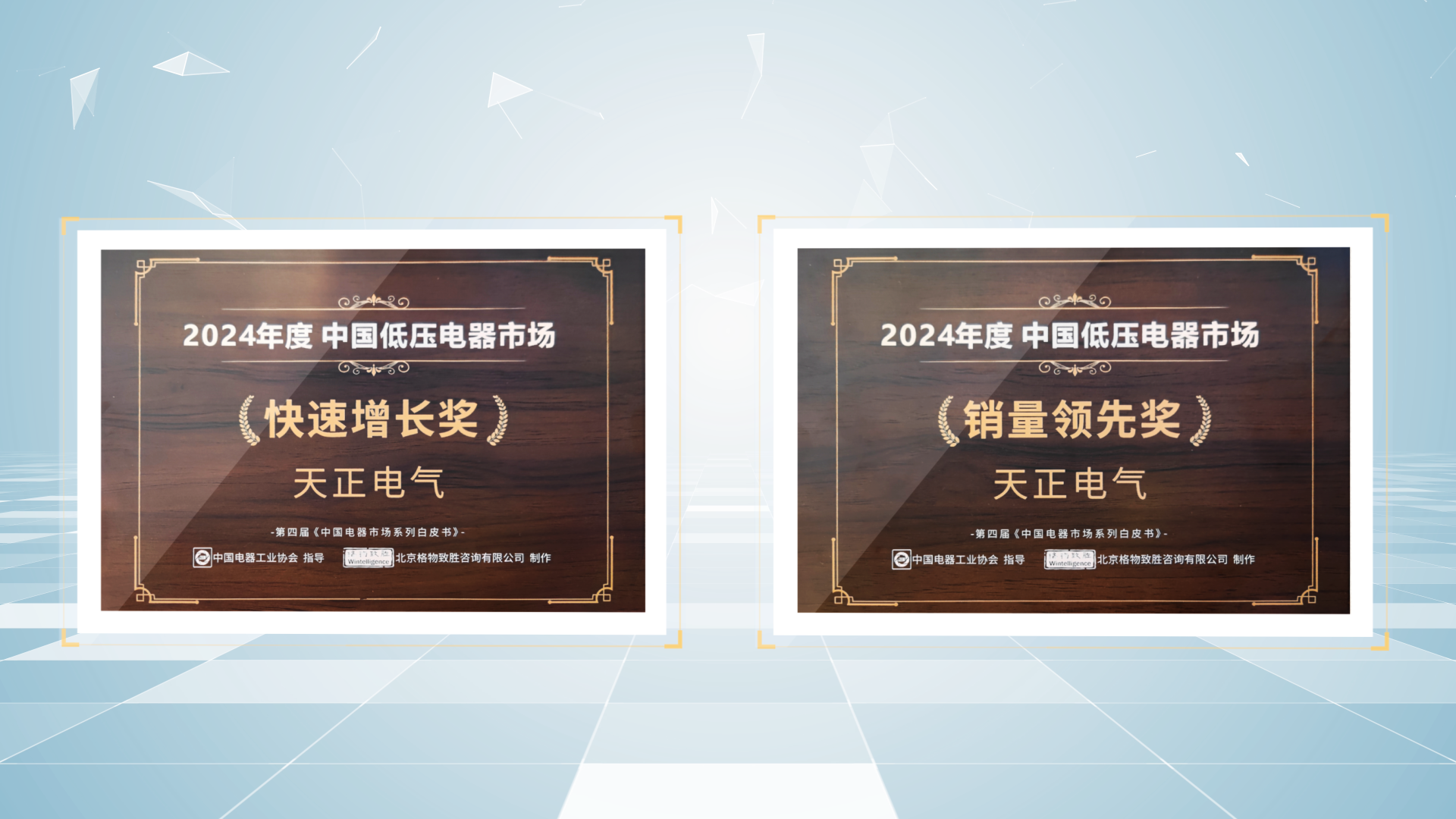 销量领先、快速增长丨爱游戏荣膺2项行业年度大奖